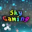 SkyGaming1 avatar