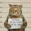 criminal_cat avatar