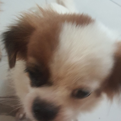 @test_001
