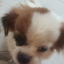 test_001 avatar