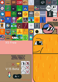 Nugget Feed Deck