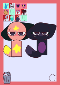 Pinkystar & Star ragdoll