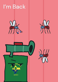 Loreto vs Mosquitos