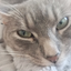 Bing-And-Bongs_Games avatar