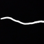 WickicLines avatar