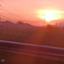 IWABSACHISOMCUH4EVER avatar