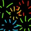 im_afirework avatar