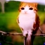 Meolw_Cat avatar