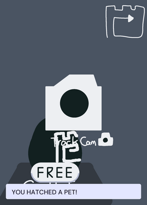 snapshot