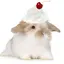 pancakes_lovers avatar