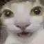 Flick avatar