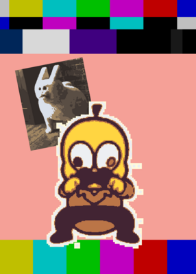 snapshot