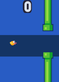 Flappy Kit.?