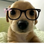 sokwk avatar