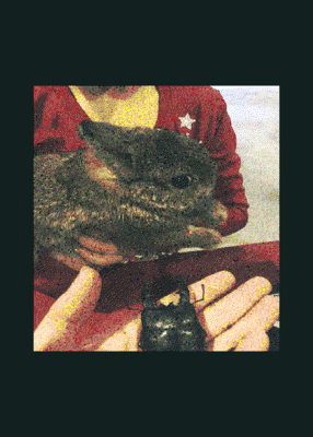 snapshot