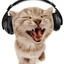 Juan_893210 avatar