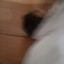 Black555 avatar