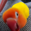 hey_girlypop avatar