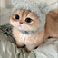 marshmallow122467 avatar