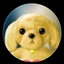 rasid5 avatar