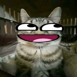 @GGBLoxxin_xyz