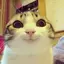 EazyLol avatar