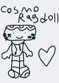 Cosmo ragdoll