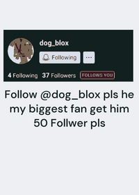 follow him