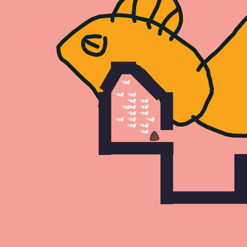 Just lay whatever is that by @travizz
