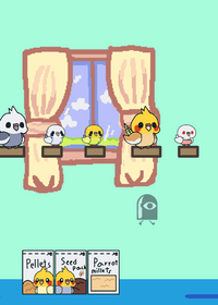 ¡Take care of birds!