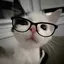 Luna_Do_Brasil avatar