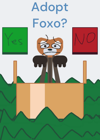 Adopt Foxo!