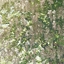 Cara_2111 avatar