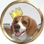 DaDumBeagle avatar