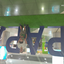 quezada avatar