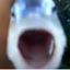 Henrydoesthings avatar