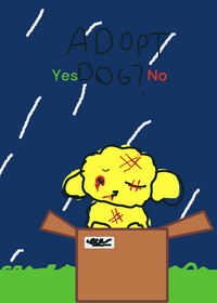 more one takecareof dog!