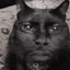 meow-gigachad avatar