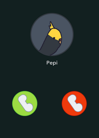 Pepi is calling you
