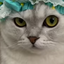 Hadia avatar