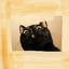 pro4oty9e avatar