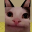 bloppa19 avatar