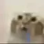 XxtortillaxX avatar