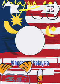 Countryballs Puzzle