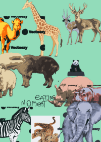 Animals
