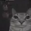 janky_studios avatar