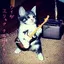 ohcatkittyhuh6 avatar