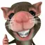 snip_ofc avatar