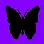 Zainab_star avatar