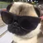 4pug avatar